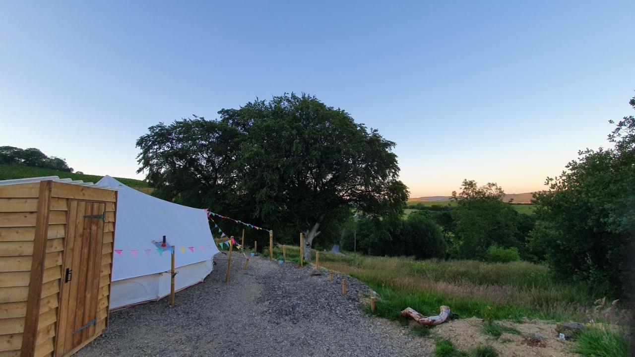 Calon Y Goedwig Glamping Hotel Llandovery Ngoại thất bức ảnh