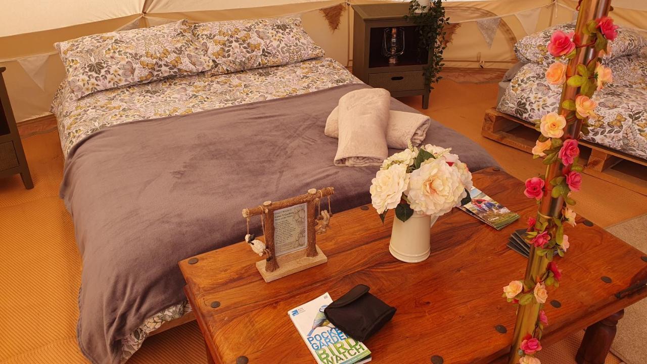 Calon Y Goedwig Glamping Hotel Llandovery Ngoại thất bức ảnh