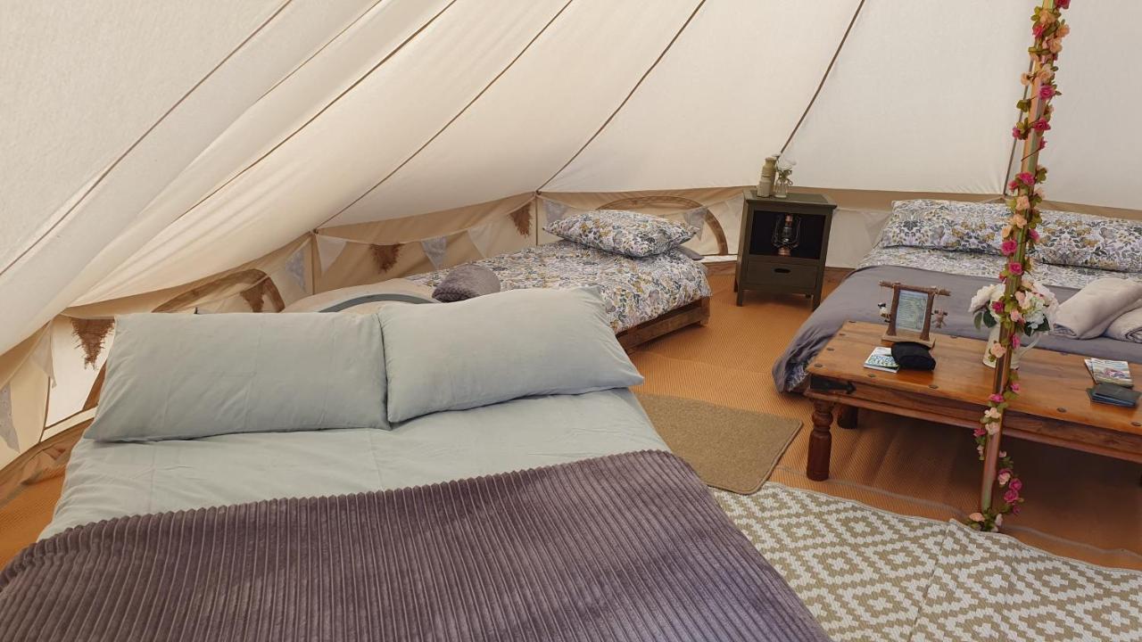 Calon Y Goedwig Glamping Hotel Llandovery Ngoại thất bức ảnh