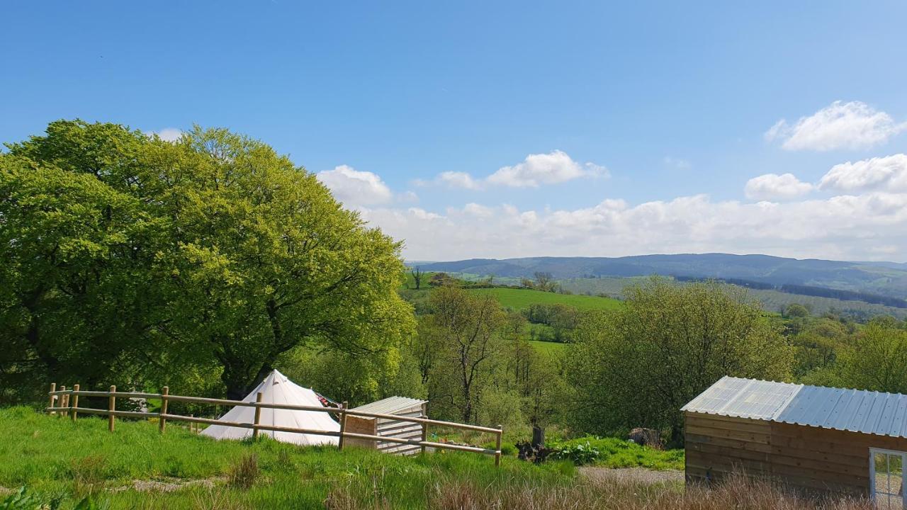 Calon Y Goedwig Glamping Hotel Llandovery Ngoại thất bức ảnh